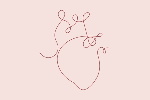 line drawing of a heart